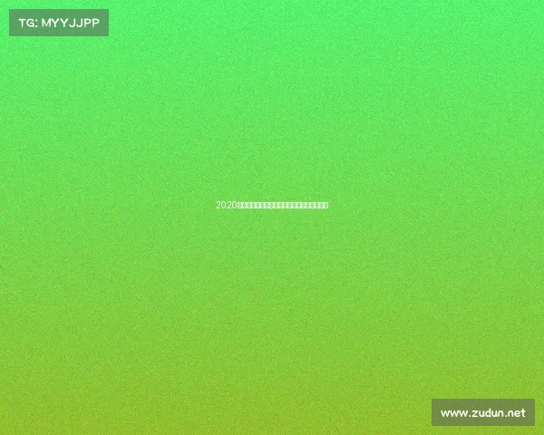 2020年全国散打王赛事年度盛典巅峰之战王者归来